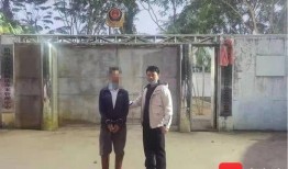 海南儋州爆料案件最新,揭秘背后惊人真相，正义终将到来