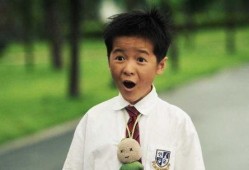 小齐哥爆料杨紫拍戏视频,小齐哥独家爆料，精彩瞬间大揭秘