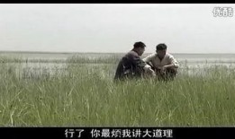 爱与死在线观看,穿越时空的情感之旅