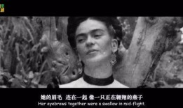 弗里达在线观看,在线观看艺术大师的传奇人生