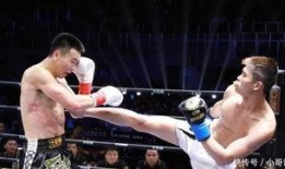 深圳卫视直播在线观看勇士的荣耀,勇士的荣耀巅峰对决精彩呈现