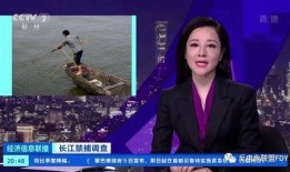 反电鱼联盟视频爆料,反电鱼联盟曝光惊人内幕