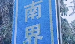 广东社会新闻爆料,揭秘近期热点事件背后的真相